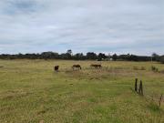 9.7 ha Farm in Gedults River