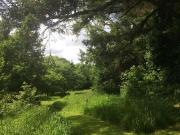 9 bed house for sale