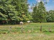 9 bed house for sale