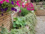 9 Cois Lene, Collinstown, Westmeath Sherry FitzGerald...