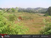 9 PARCELAS EDIFICABLES EN PRUVIA, DESDE 1000 3000 M2