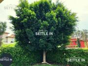 A04 CASA EN RENTA FRACCIONAMIENTO LA QUERENCIA SAN PEDRO...