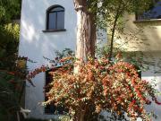 A04 Casa en Renta o Venta en San José del Puente Puebla