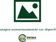 A103 | Appartamento in Affitto | epomeo € 600