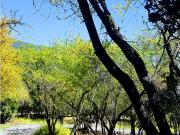 A9416418 Venta Parcela Ensenada Aguila Sur 2Hect Paine