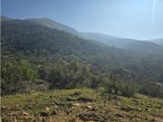 A9419979 Venta Sitio 366 Hectáreas Cuyuncavi