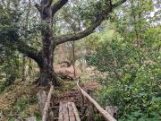 A 1KM DE CARRETERA S 60, CRUCE A PORMA