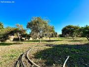 A 2 minutos de leroy merlin Parcela de terreno de 1.500...