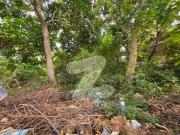 A 666 Square Yards Residential Plot Is Up For Grabs In F 7