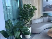 A.B Imóvel para aluguel com 240 metros quadrados com 4...