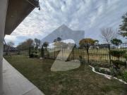 A Beautiful 2 Kanal House Is Available For Rent In PHASE...