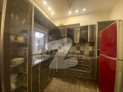 8 marla furnished house for rent