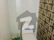 A Beautiful And Lavish House For Rent In Abu Bakr Block...