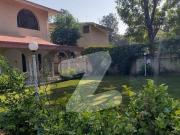 A Beautiful Full House For Rent With Lawn