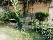 A Centrally Located House Is Available For Rent In...