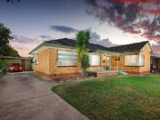 A Classic Foundation with Boundless Potential