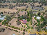 A Cut Above the Rest