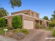 A Family Wonderland of Grand Proportions