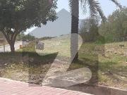 A Good Location Kanal Plot Available For Sale In DHA 1