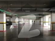 A Great Choice For A 3800 Square Feet Flat Available In...