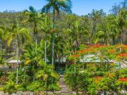 A Hidden Forest Retreat With Endless Adventures