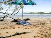 A Landmark Waterfront Retreat One of Macleay...