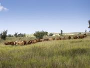 A Legacy of Production