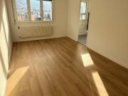 A louer 3.5 pièces rénové