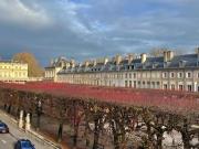 À louer Duplex 3 pièces Place de la Carrière