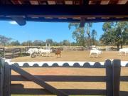 A&M IMOVEIS VENDE EXELENTE FAZENDA COM 65 HECTARE MUITA AGUA