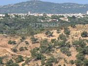 A Million Dollar view