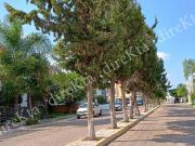 Bosques de San Juan, SJR, QRO. Casa 2 niveles PRECIO A...