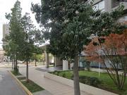 A pasos de Av. Perú, ¡ven a vivir y disfrutar!