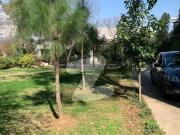 A Perfect House Awaits You In F 11