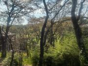 A Pie de Campo
