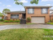 A portrait of potential