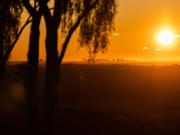 A Rare Acreage Retreat with uninterrupted Sydney Skyline...