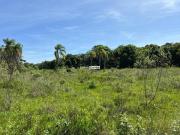 ÁREA PREPARADA PARA PECUÁRIA