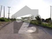 A Residential Plot Of 1250 Square Feet In Islamabad