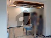 A Separate Single Storey 6 Marla House Is Available For Rent