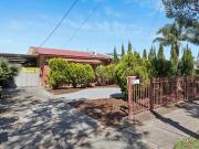 A Solid Opportunity!