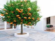 à venda Apartamento de alto padrão, Vila Real de Santo...