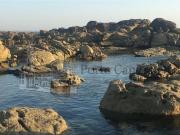 à venda Apartamento de luxo de 169 m2, Matosinhos, Porto