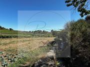 à venda cottage de luxo de 34400 m2 Sabrosa, Vila Real