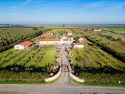 à venda Casa de campo de 840 m2, Ferreira do Alentejo, Beja