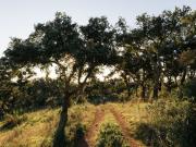 à venda Casa de campo de alto padrão de 6000 m2 Melides,...