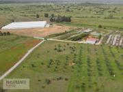Terreno de 550 m2 Idanha a Nova, Castelo Branco