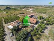 à venda Exclusiva casa de campo, Palmela, Portugal