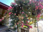 à venda Exclusiva mansão, Balneário Camboriú, Santa Catarina