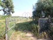 à venda Exclusiva mansão, Olhao, Olhão, Faro